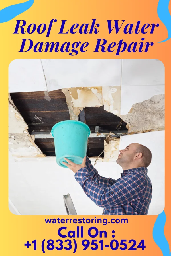 Roof Leak Water Damage Repair in South Glastonbury, MT